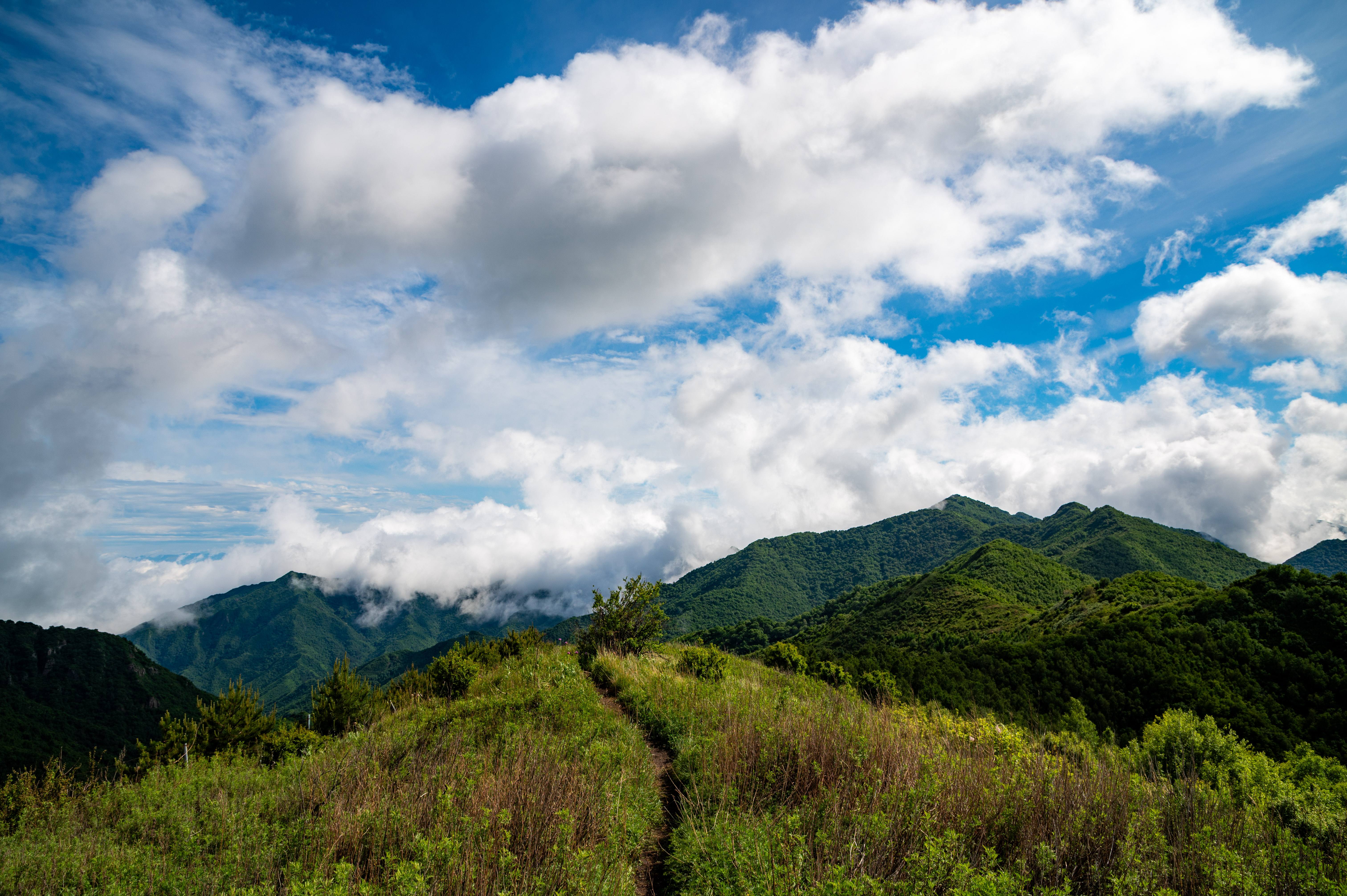 大黑峰 [29]
