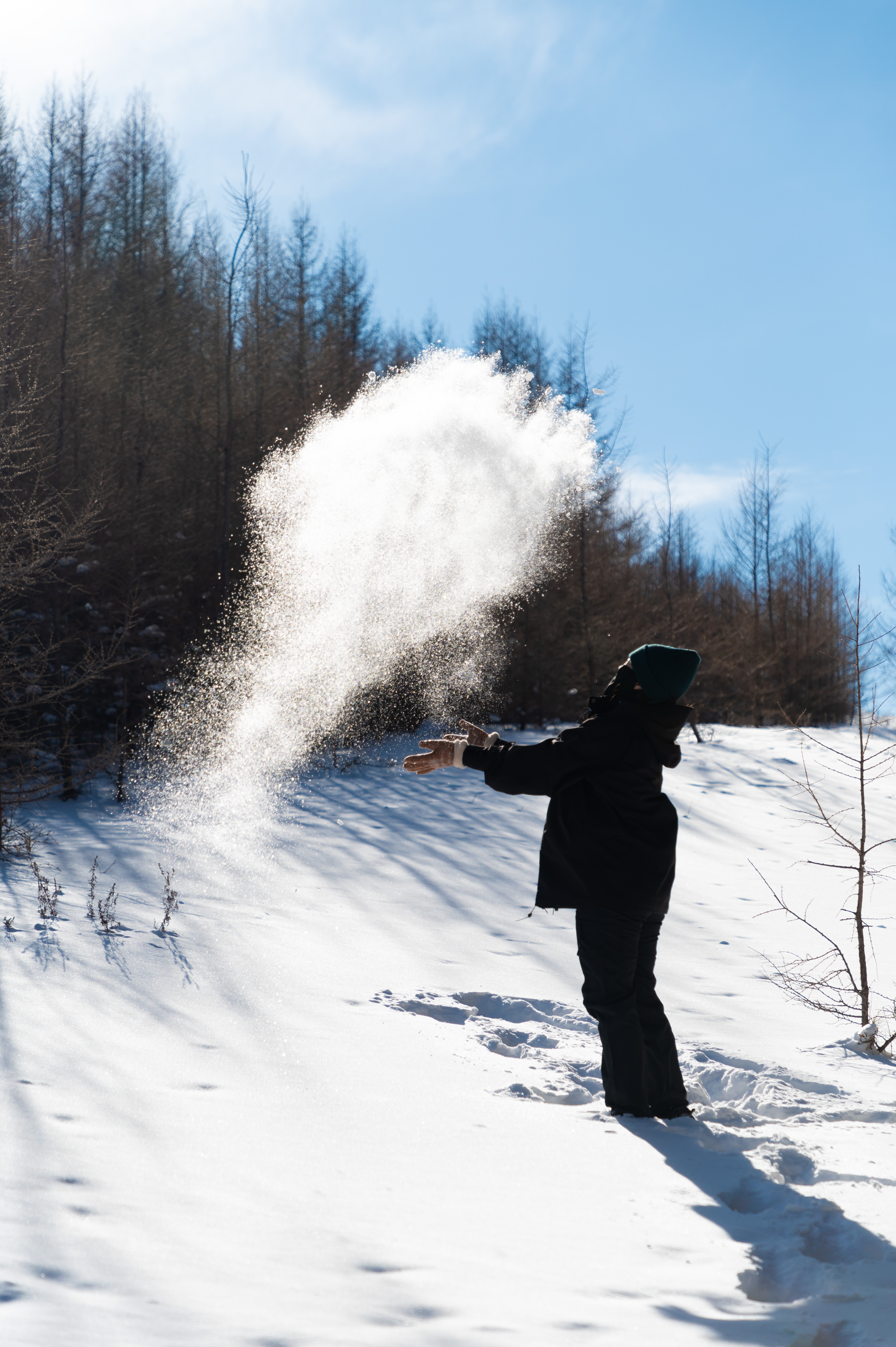 桦皮岭踏雪 [7]