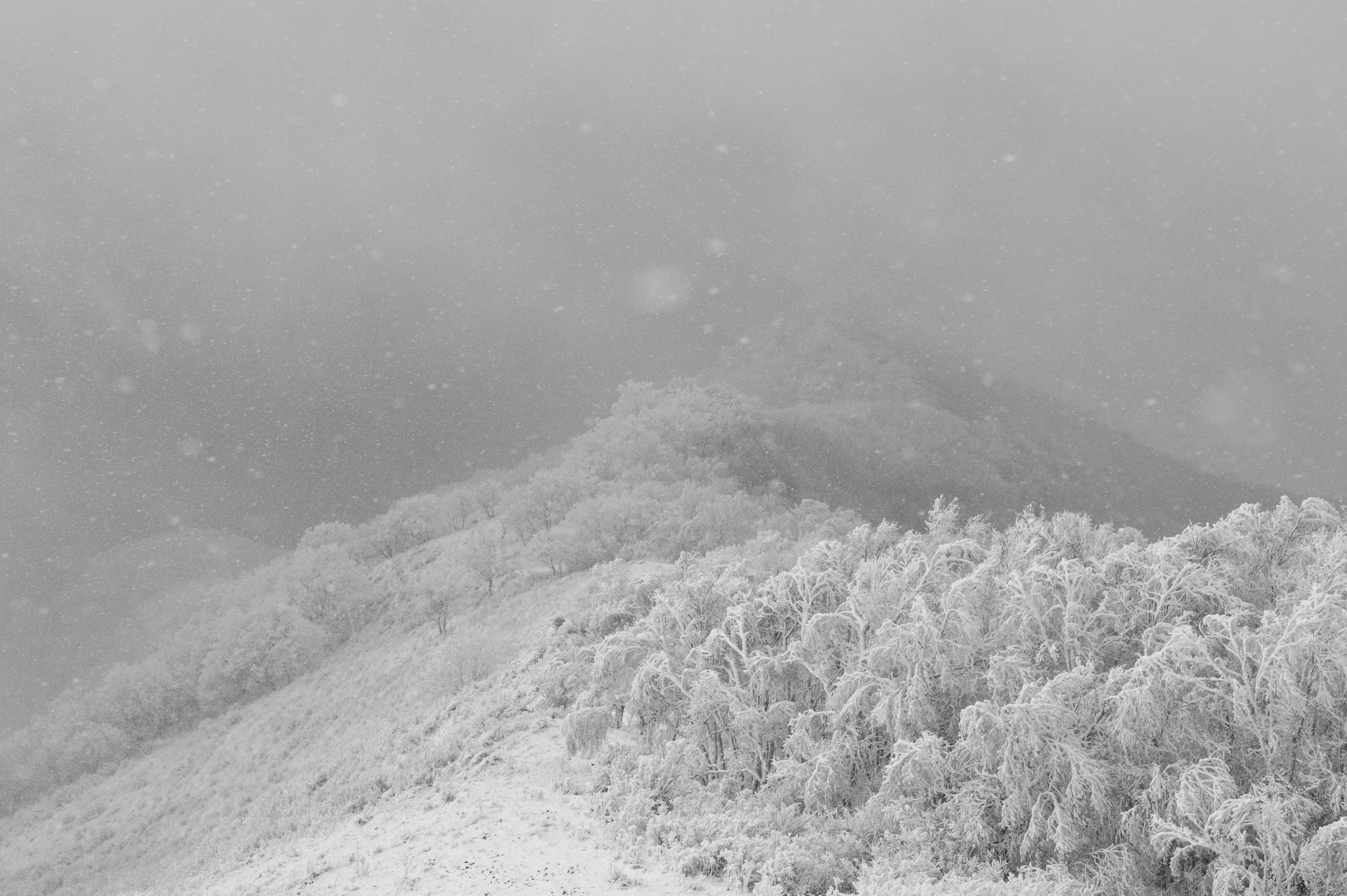 北灵山雪景 [8]