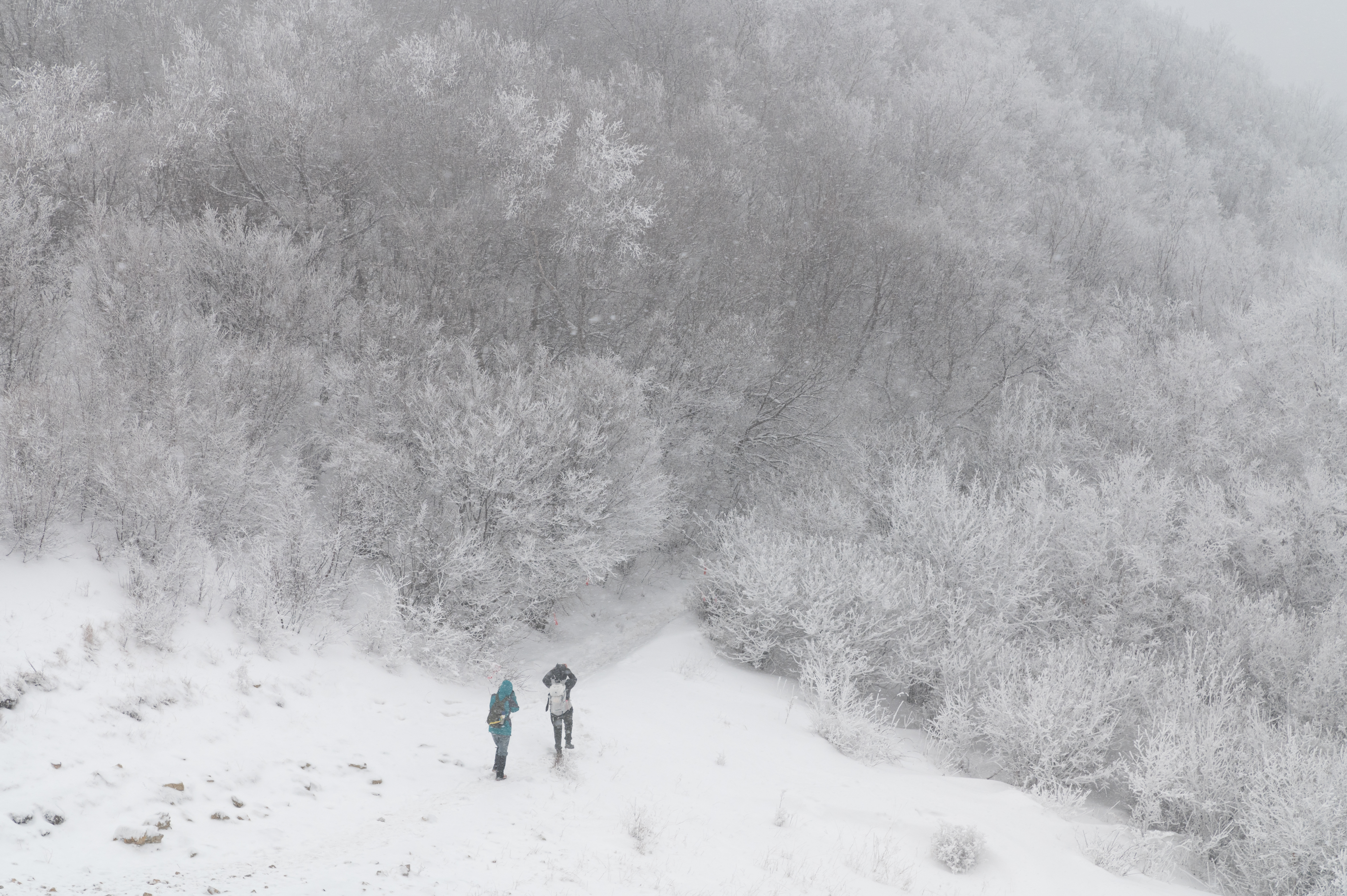 北灵山雪景 [3]