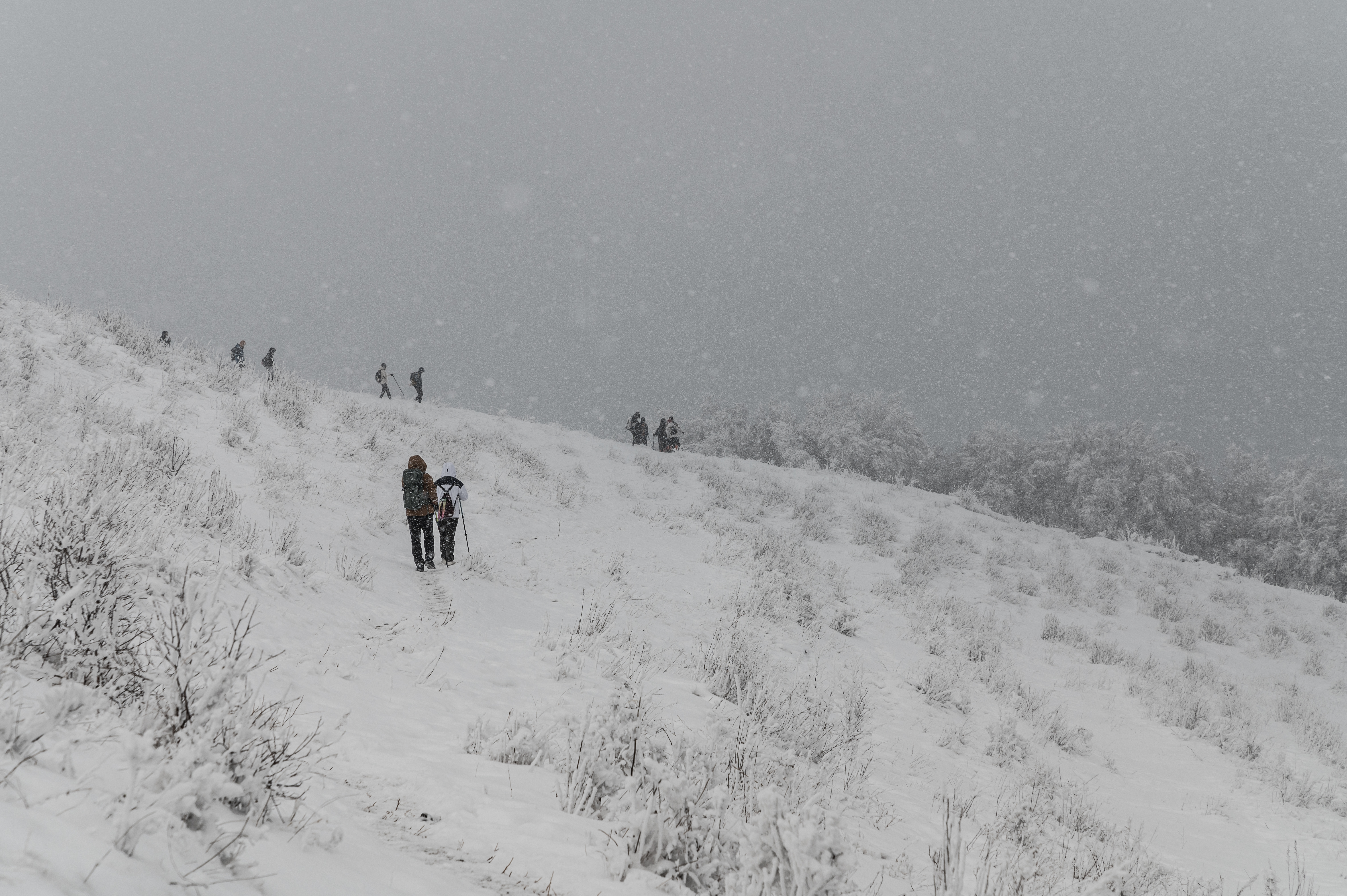 北灵山雪景 [6]