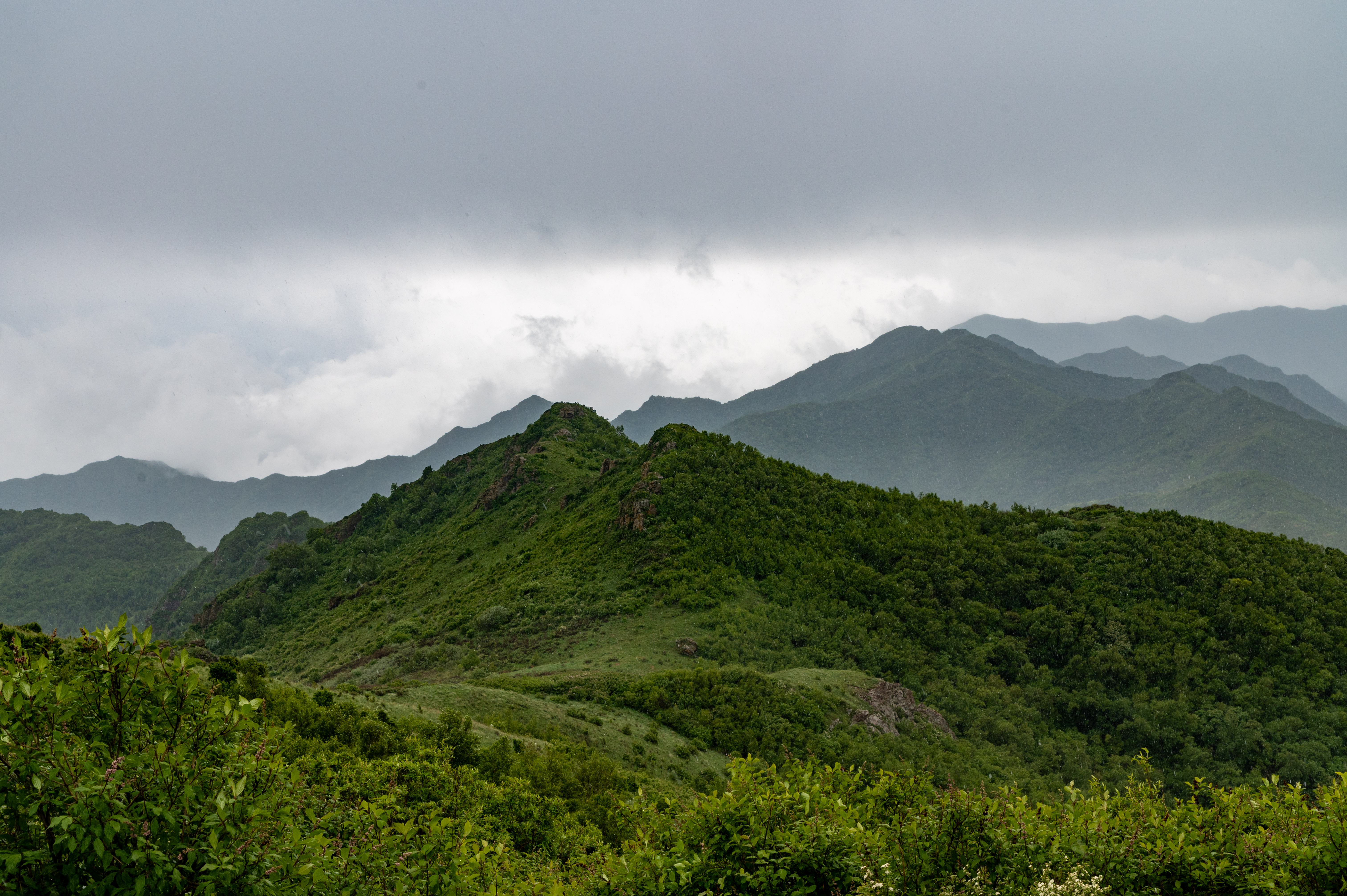 大黑峰 [37]