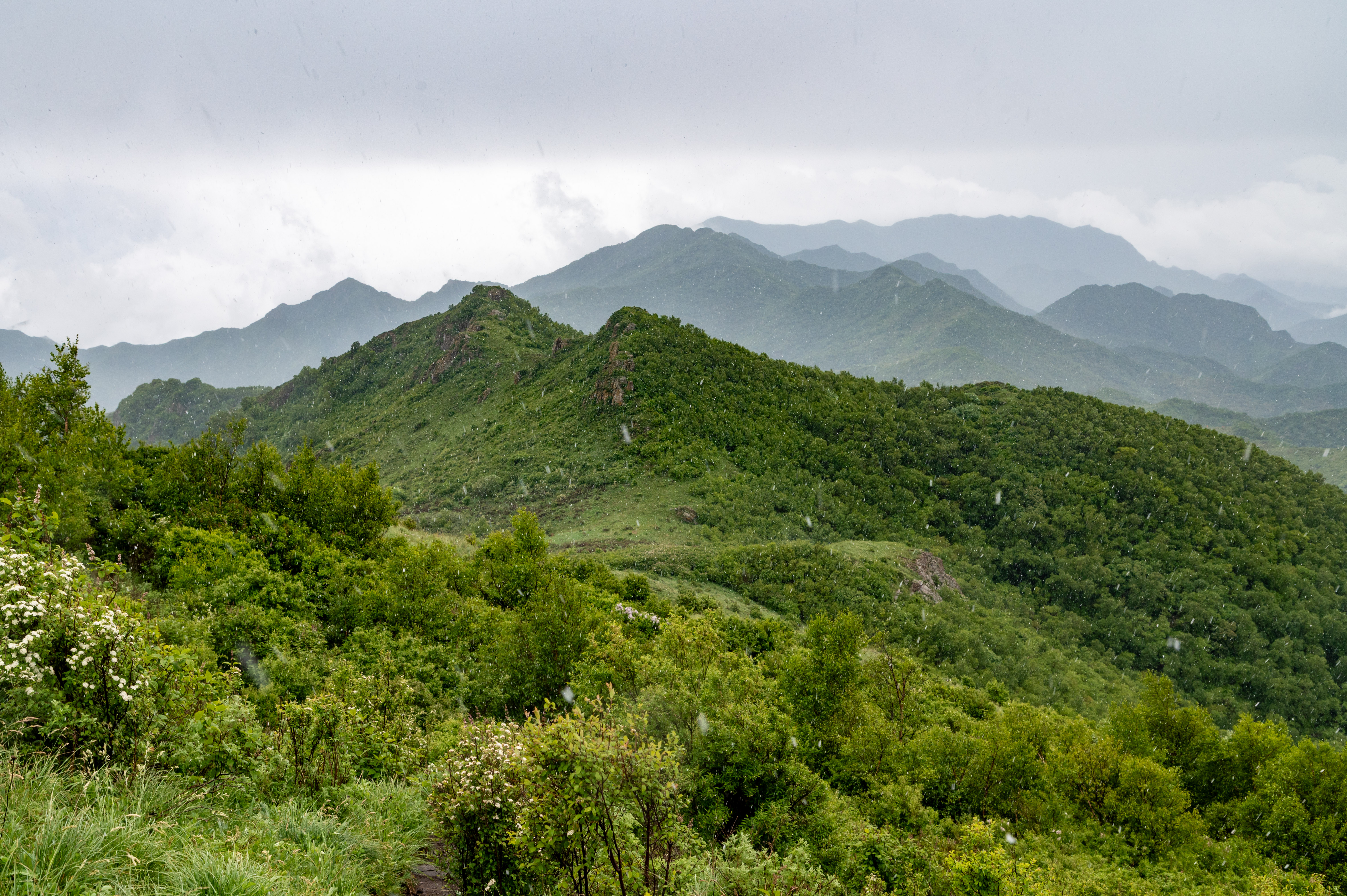 大黑峰 [39]