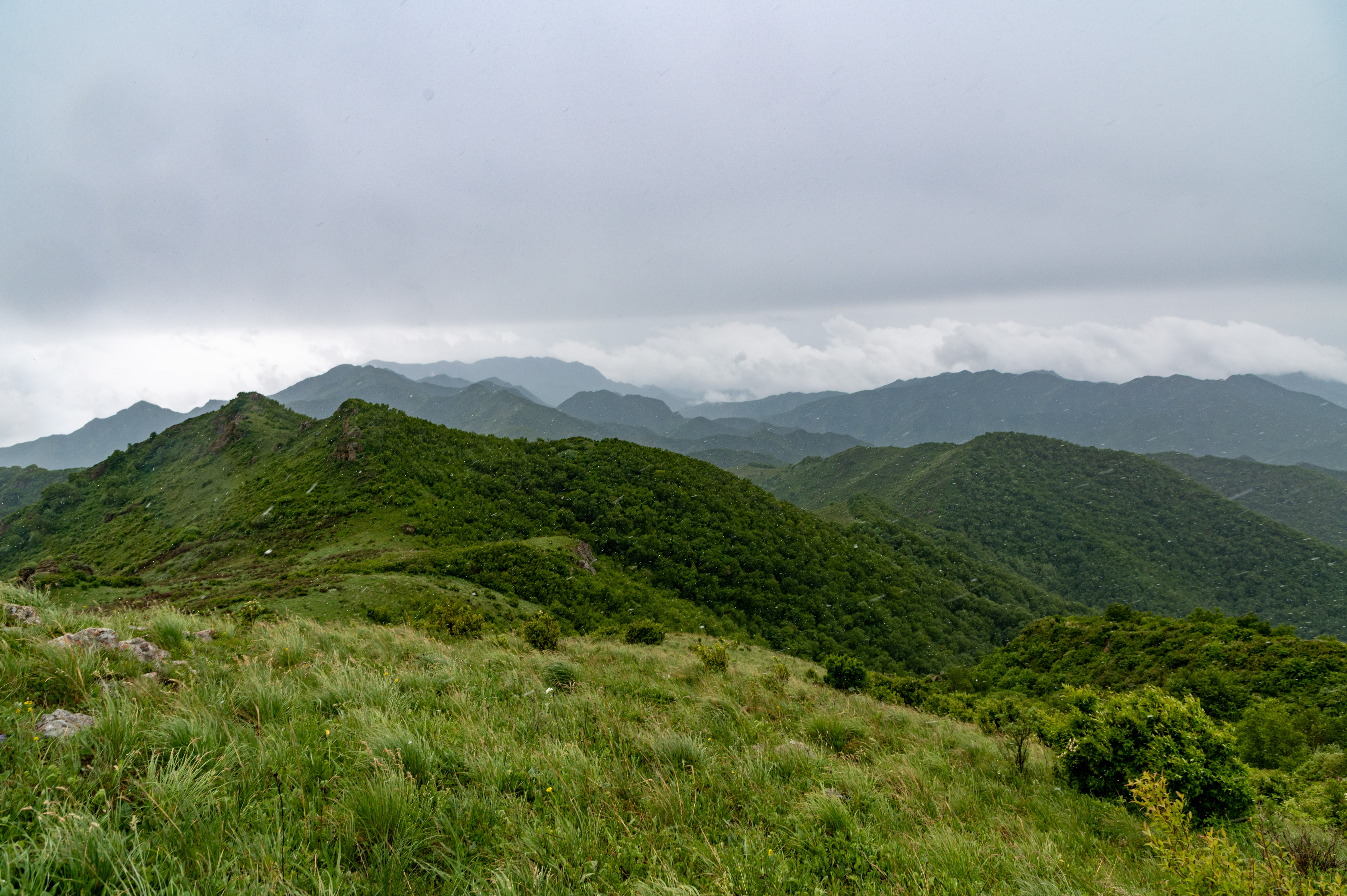 大黑峰 [44]