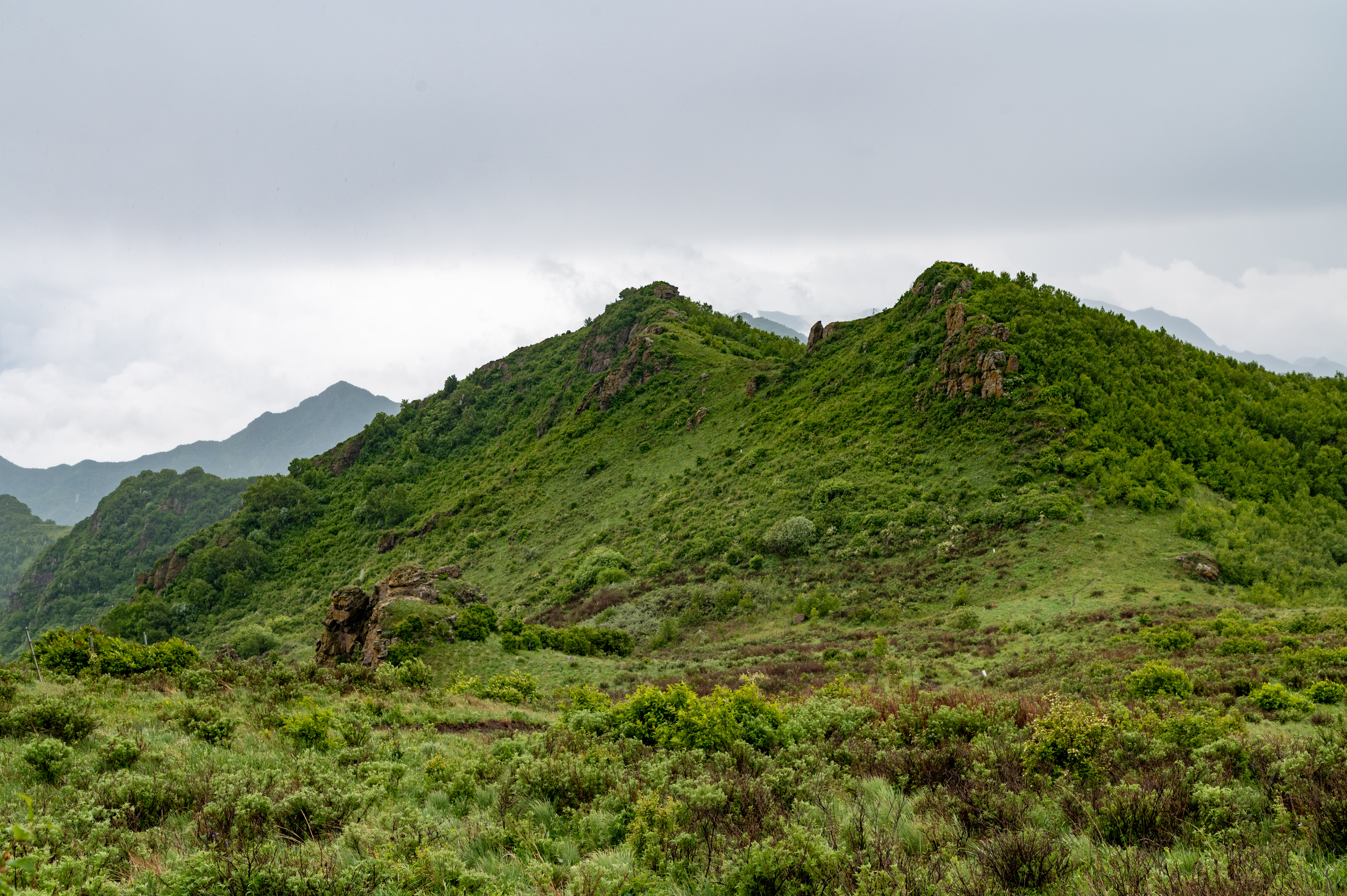 大黑峰 [50]