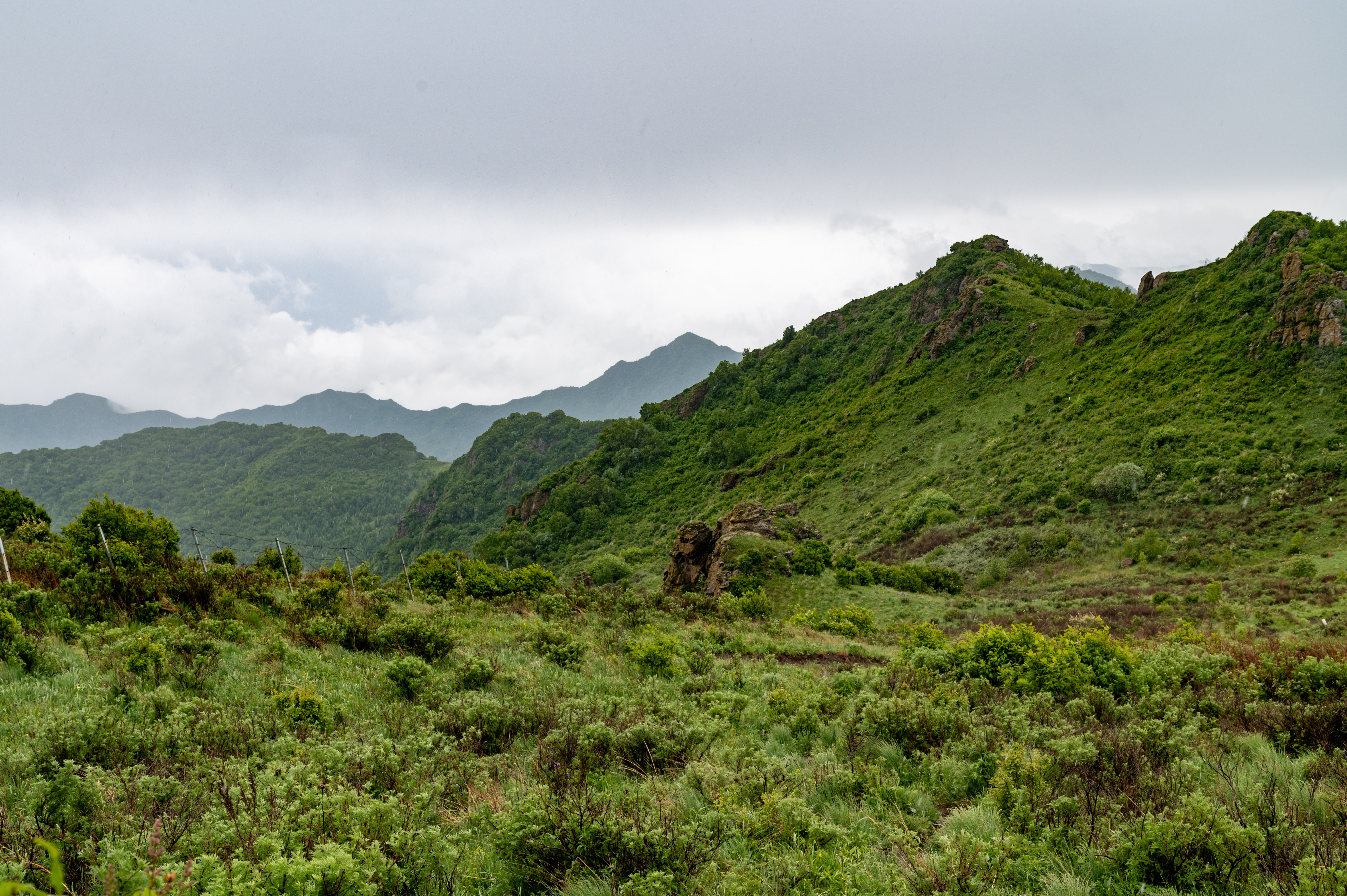 大黑峰 [51]