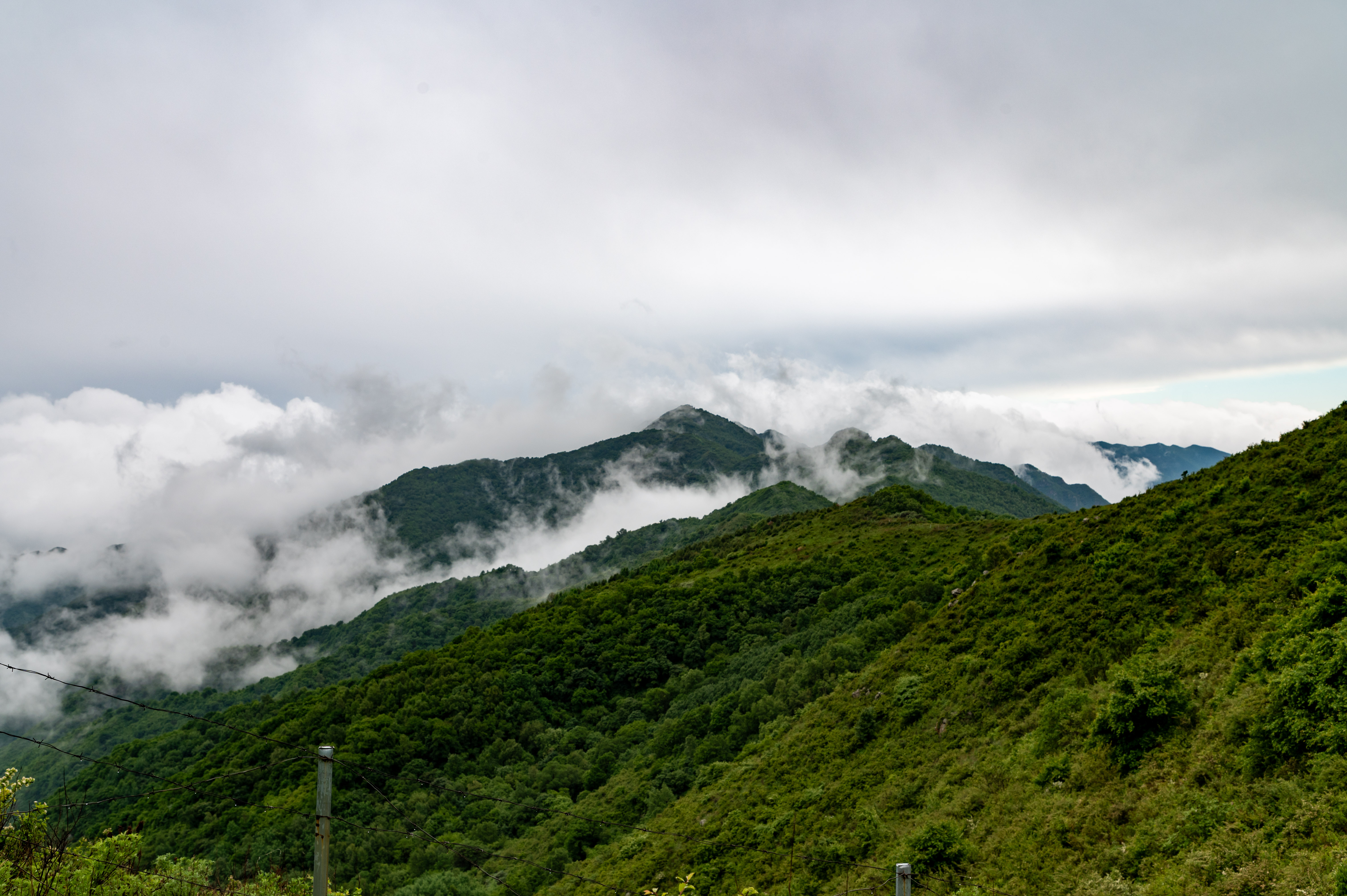 大黑峰 [57]