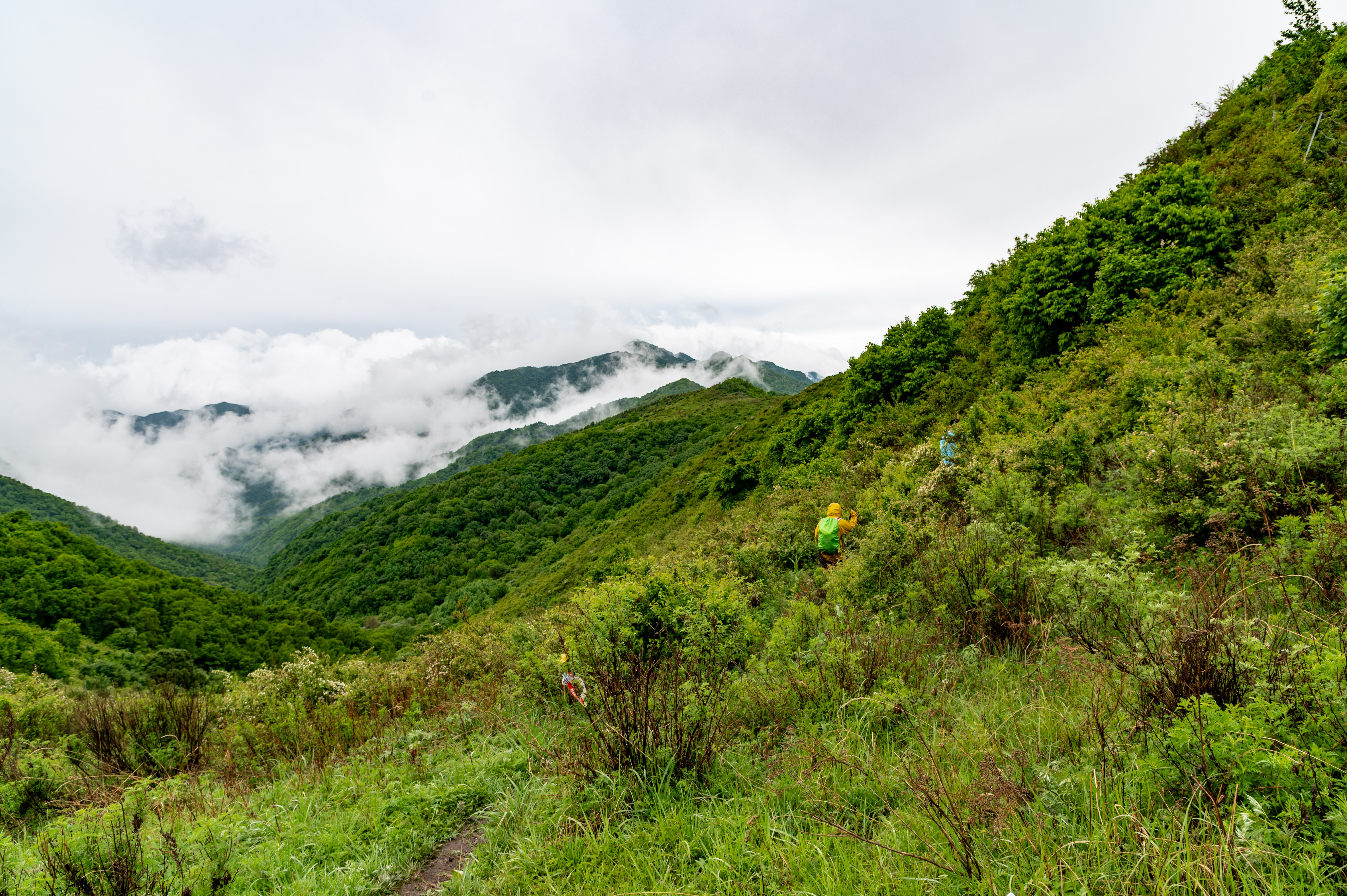 大黑峰 [58]