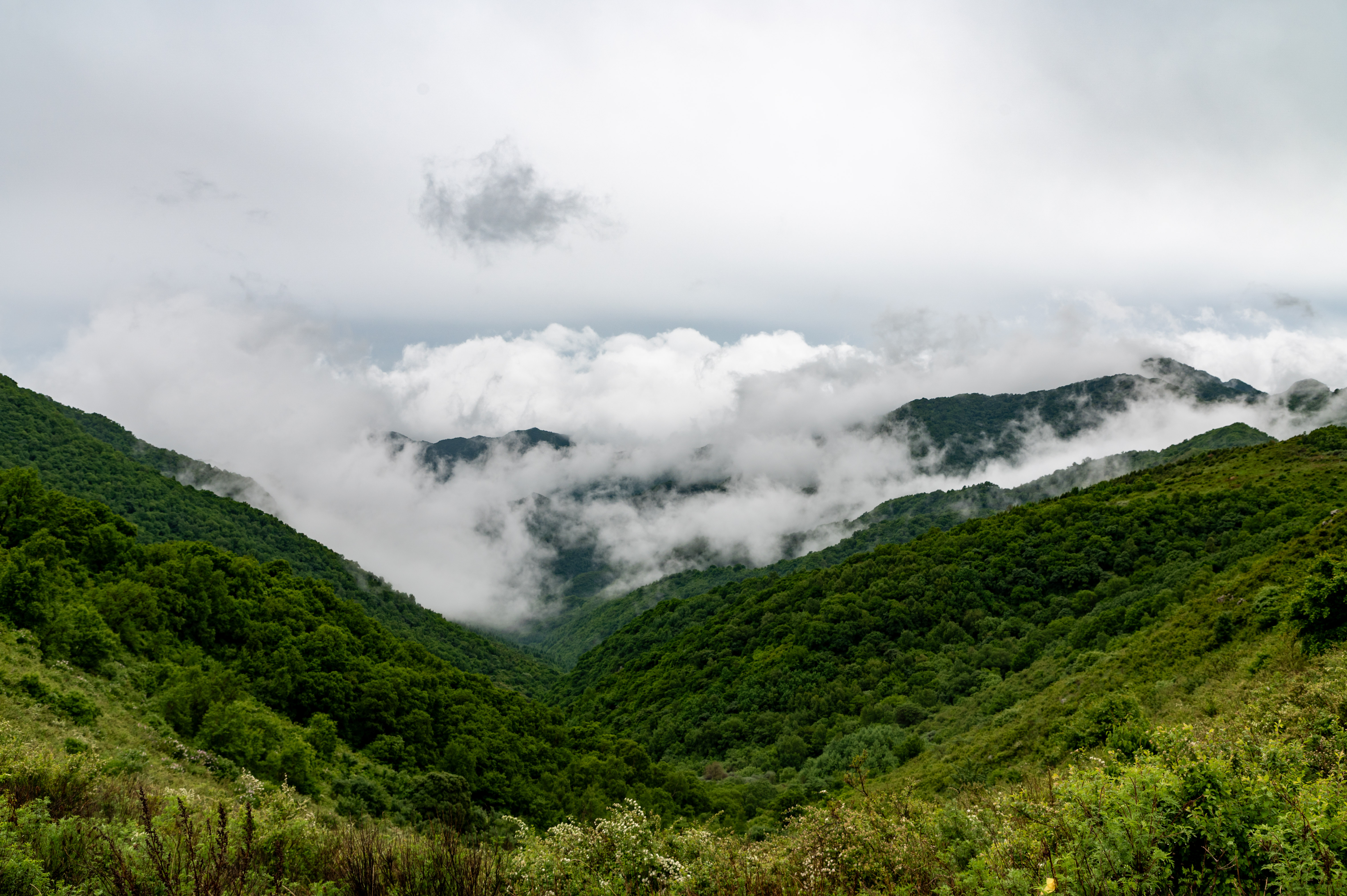 大黑峰 [59]