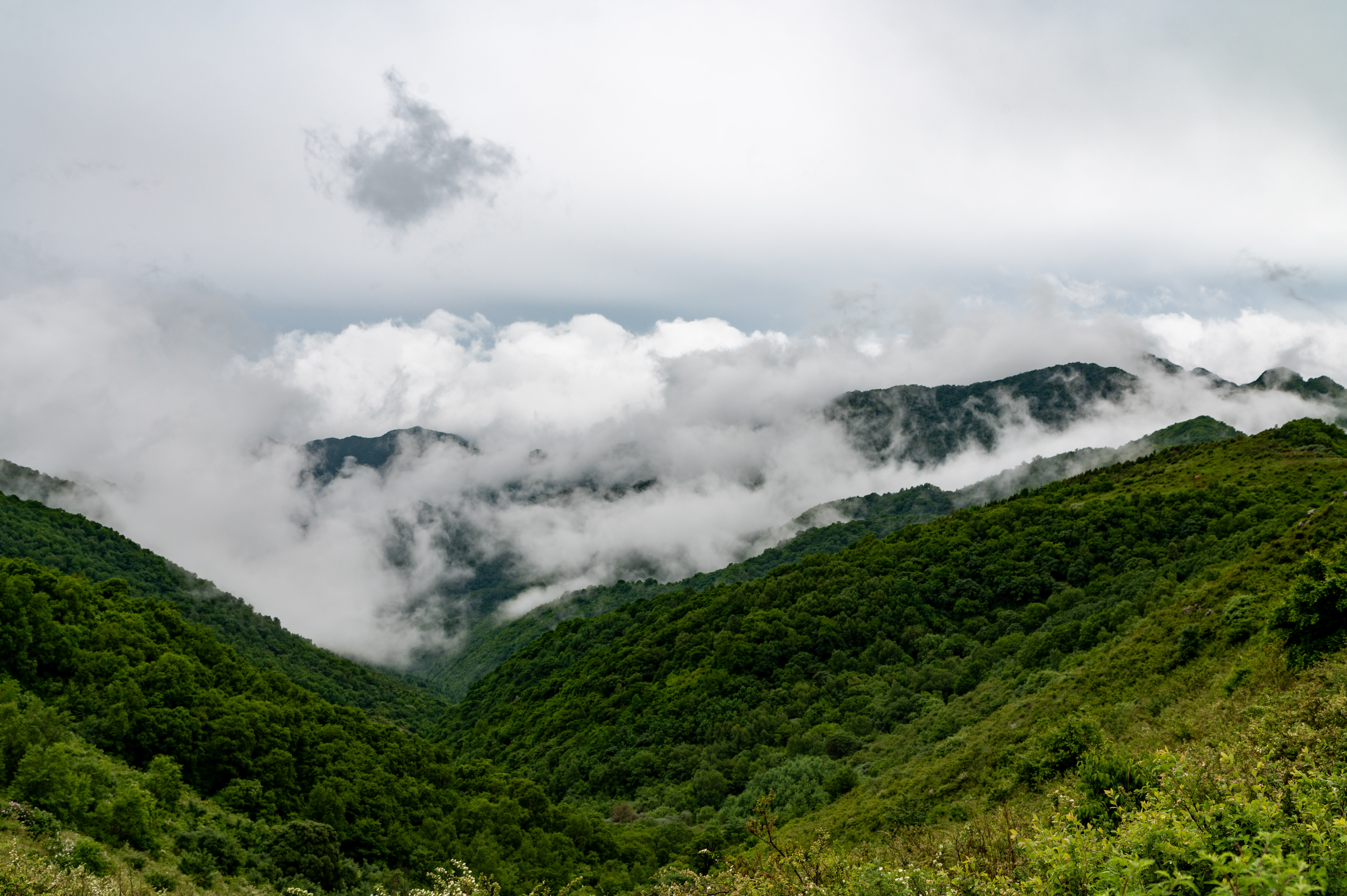 大黑峰 [60]
