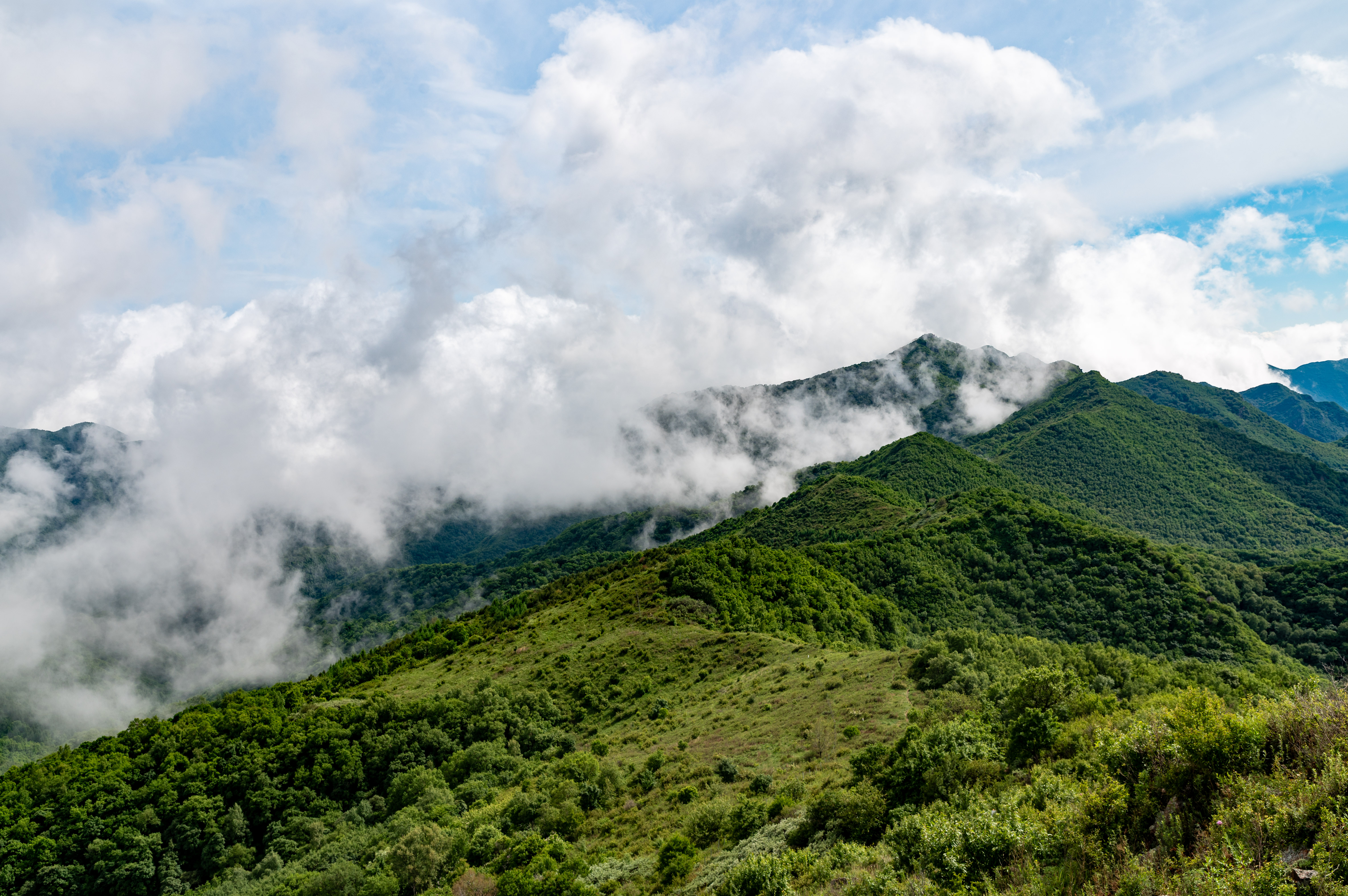 大黑峰 [15]