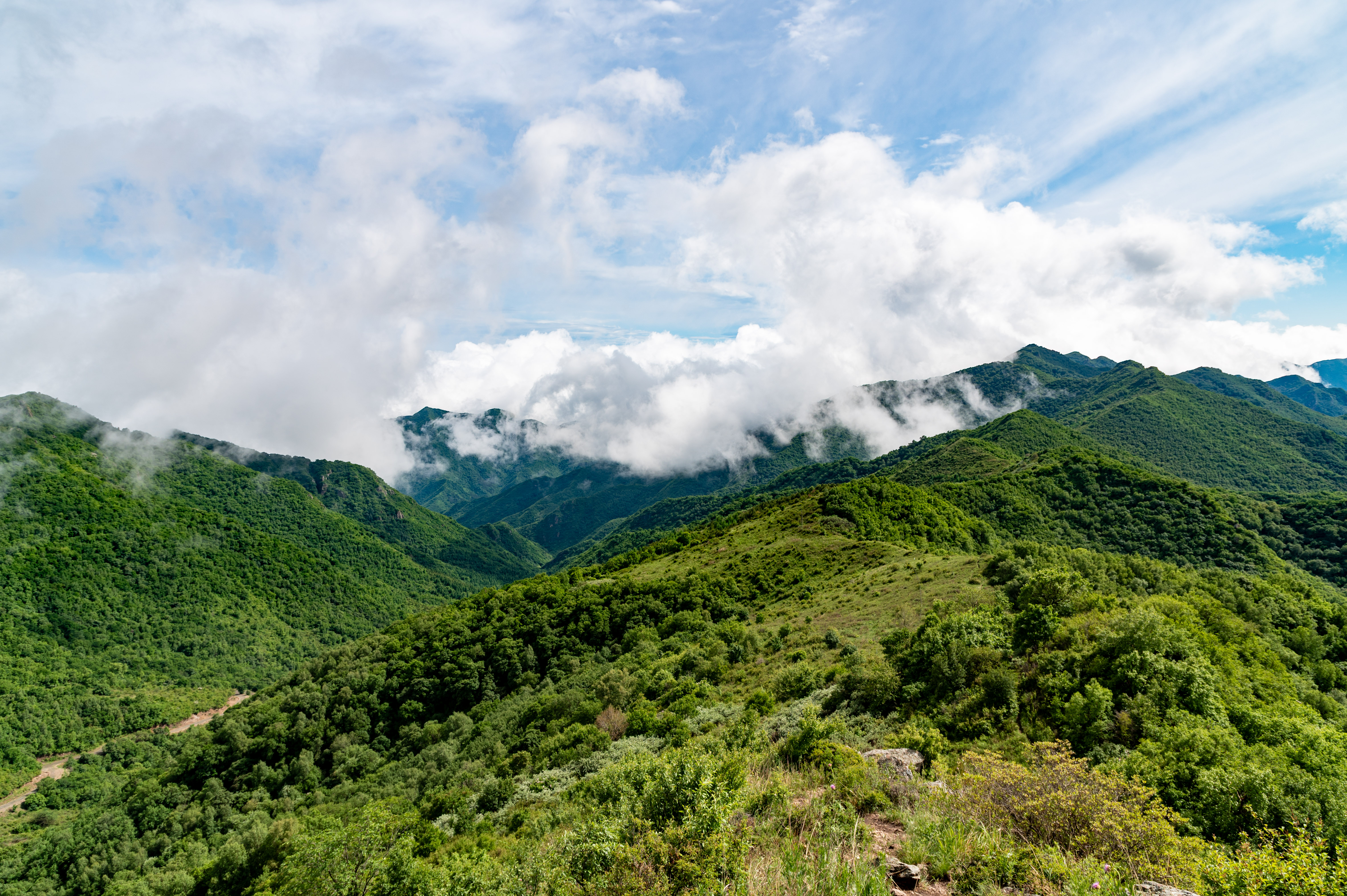 大黑峰 [20]